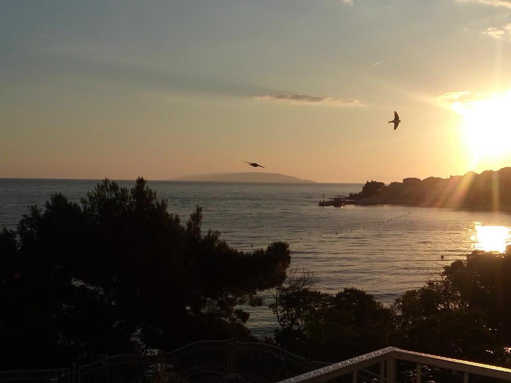 Guesthouse Kod Irene Gradac  Exterior photo